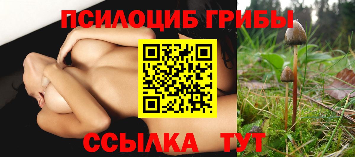 Ипатово  Галлюциногенные грибы мицелий  Псилоцибиновые грибы MAGIC MUSHROOMS  Вход с VPN 